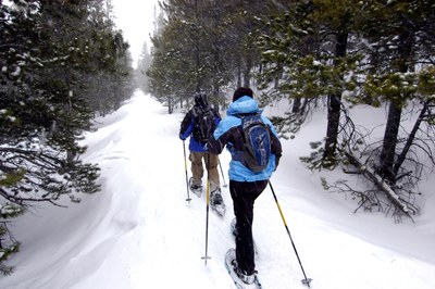 Snowshoe Field Trip