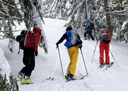 Introduction to Backcountry Uphill Travel on Skis