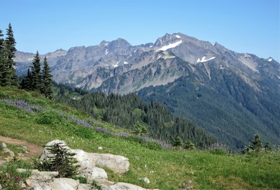 Alpine Scramble - Mount Carrie