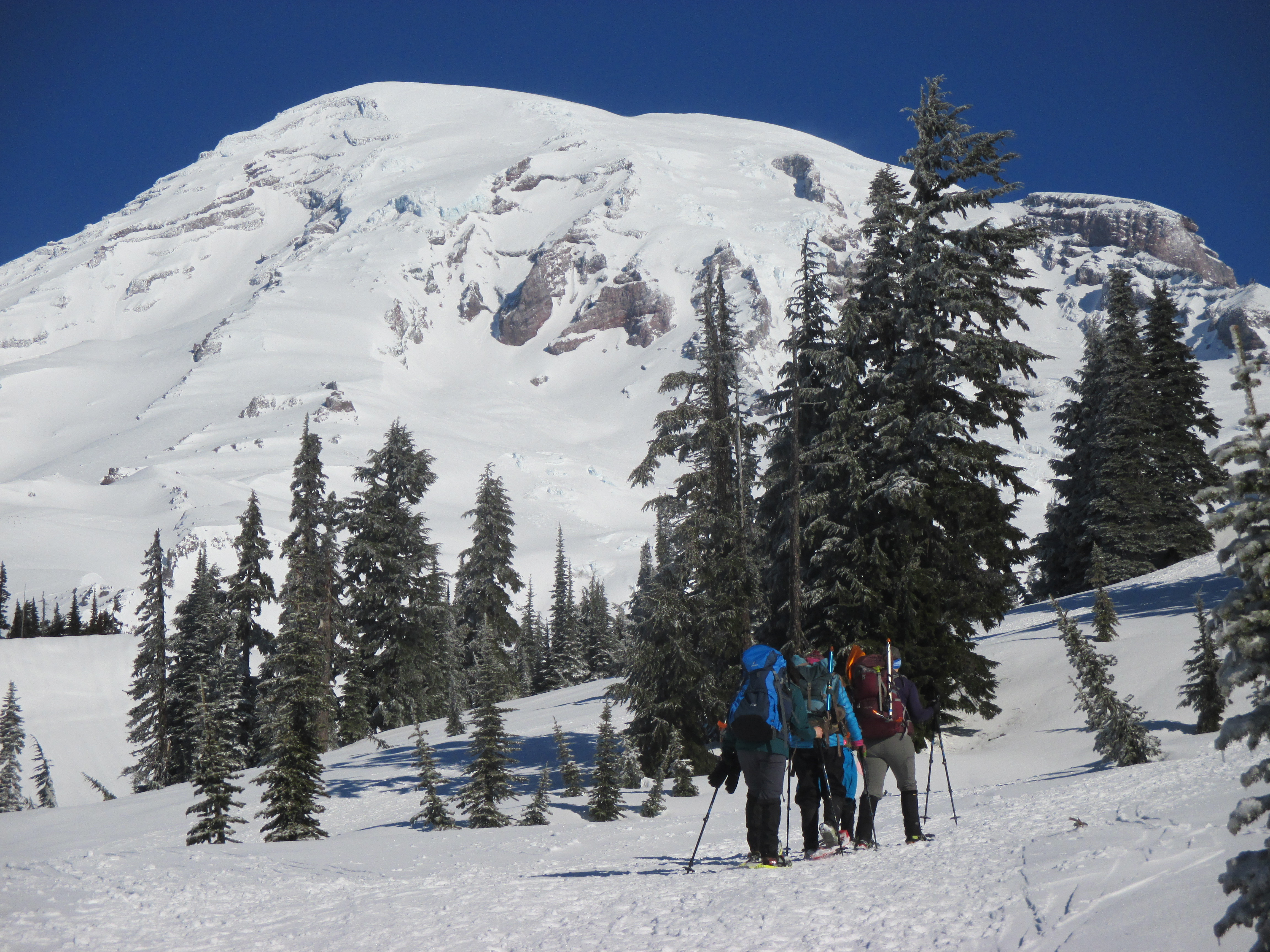 Basic Snowshoe - Paradise (Mount Rainier) — The Mountaineers