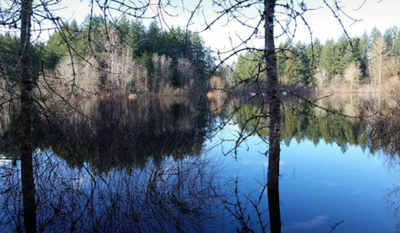 Day Hike - Grass Lake Nature Reserve