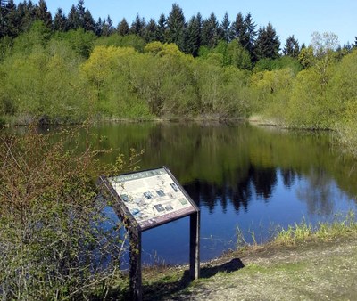 Day Hike - Island Center Forest