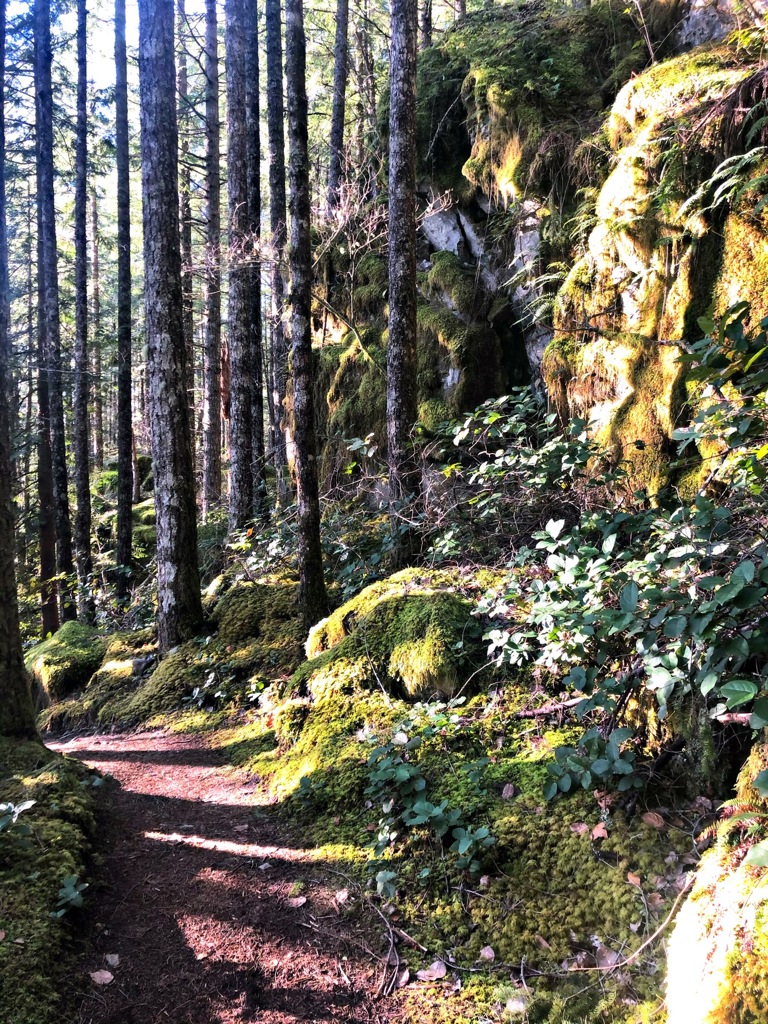 Day Hike Little Si And Boulder Garden Loop — The Mountaineers