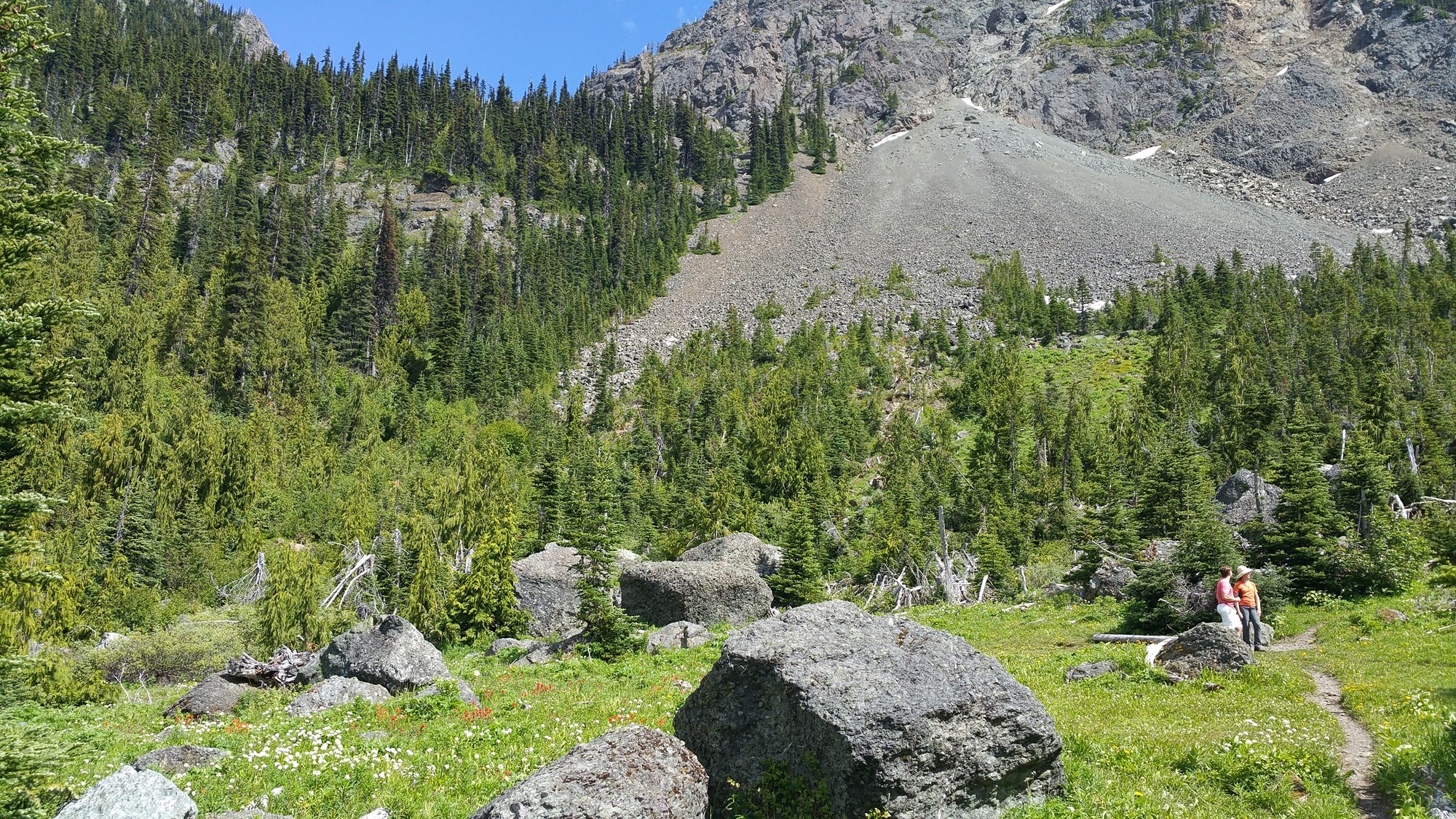 Day Hike - Upper Dungeness River — The Mountaineers