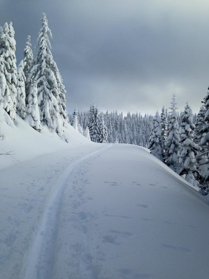 Amabilis Mountain — The Mountaineers