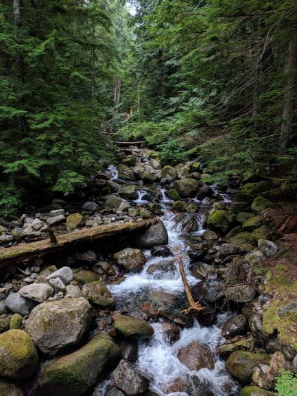 Asahel Curtis Nature Trail — The Mountaineers