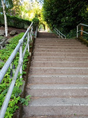 Stairs to lake on steep hill