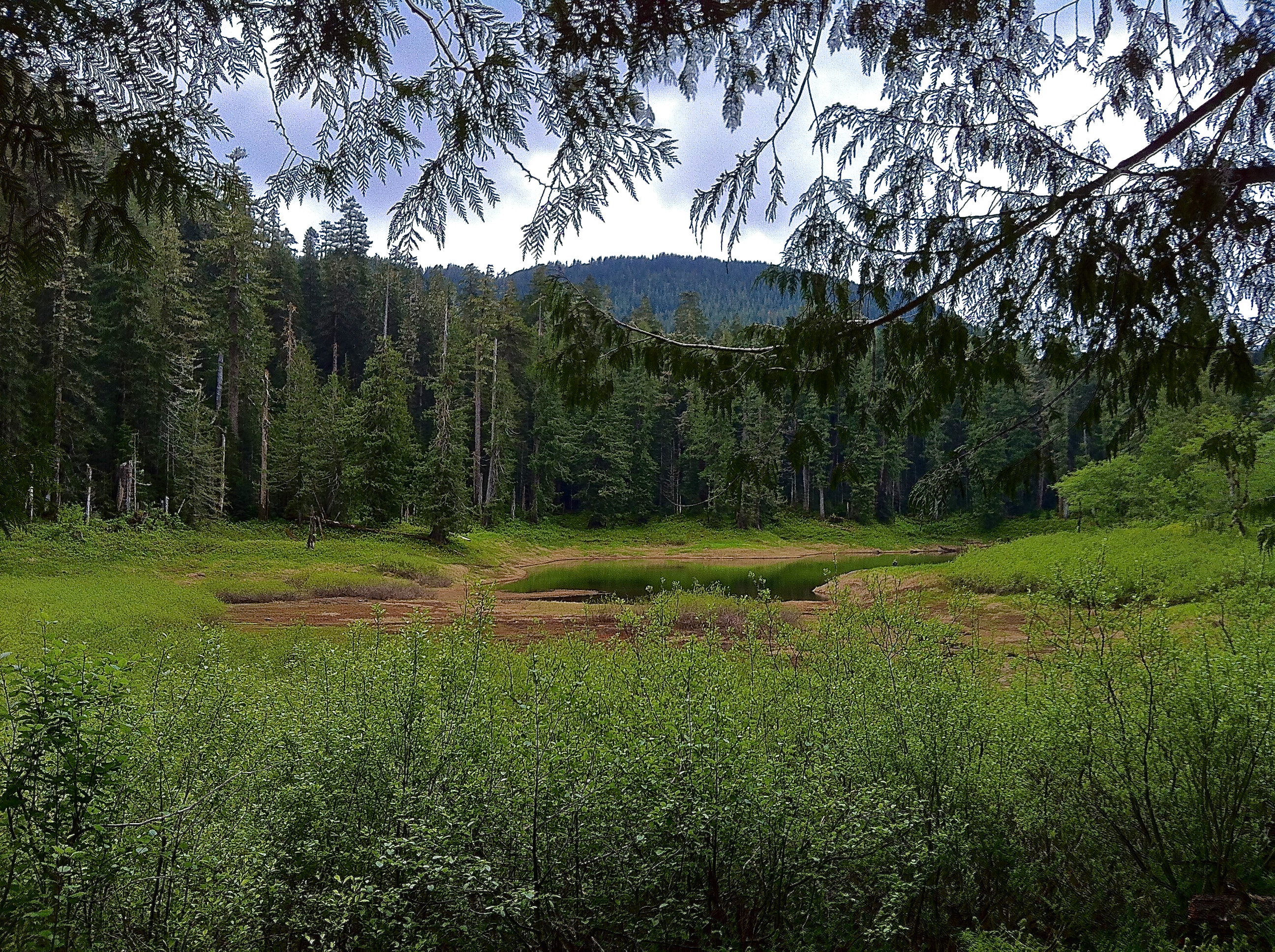 Church Creek–Satsop Lakes — The Mountaineers