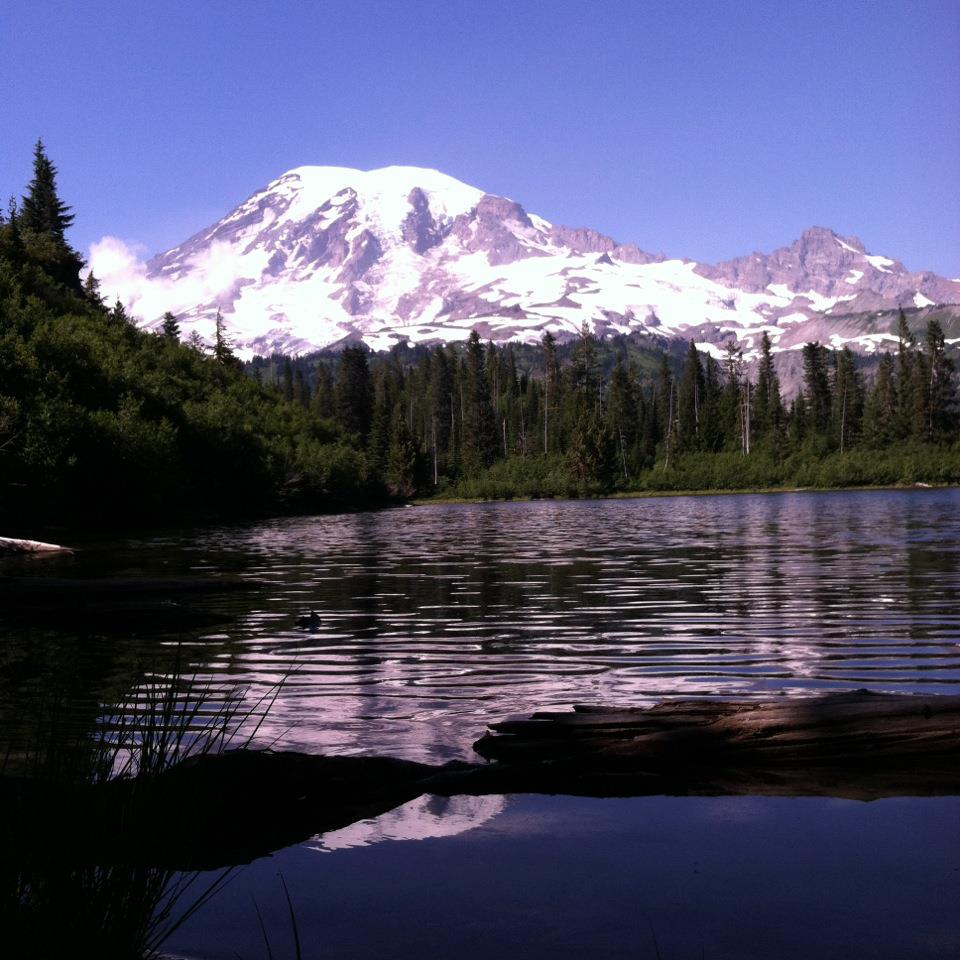 Cougar rock store campground