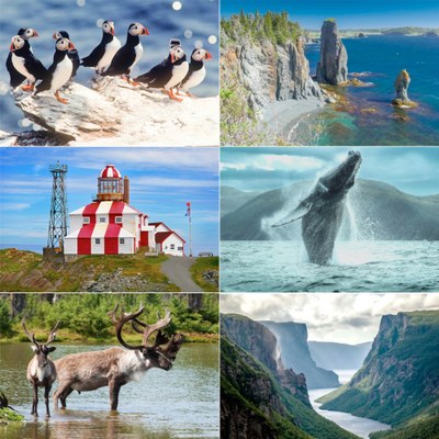 Dayhike Newfoundland with a Naturalist and Culture Focus