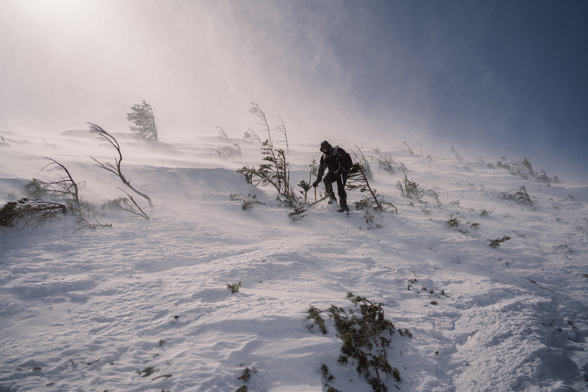 Mt. Tengu Climb-18.jpg