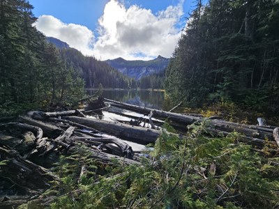 Greider Lakes