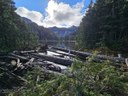 little greider lake.jfif