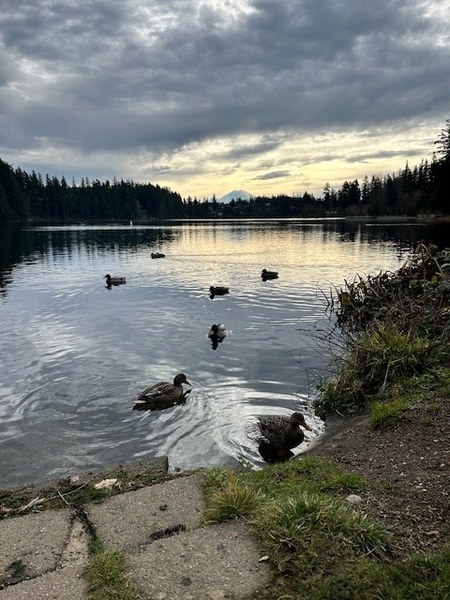 Day Hike - Lake Wilderness Park — The Mountaineers