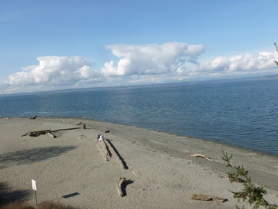 Matthews Beach To Carkeek Park — The Mountaineers