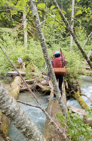 Two people carefully crossing a big downed log across the raging cascade river with lots of smaller trees and branches in the foreground