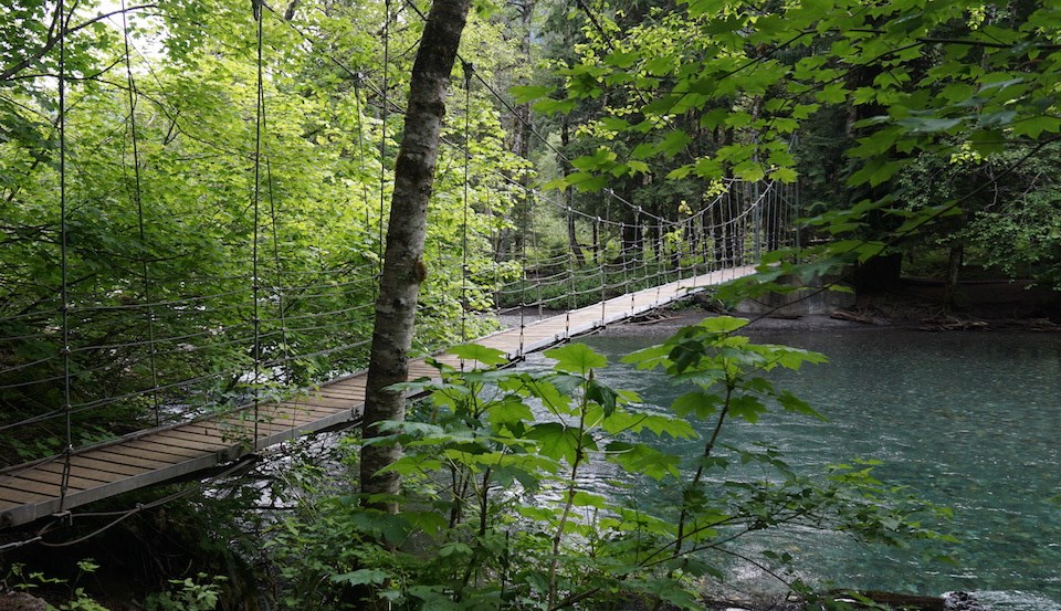 Ohanapecosh campground outlet