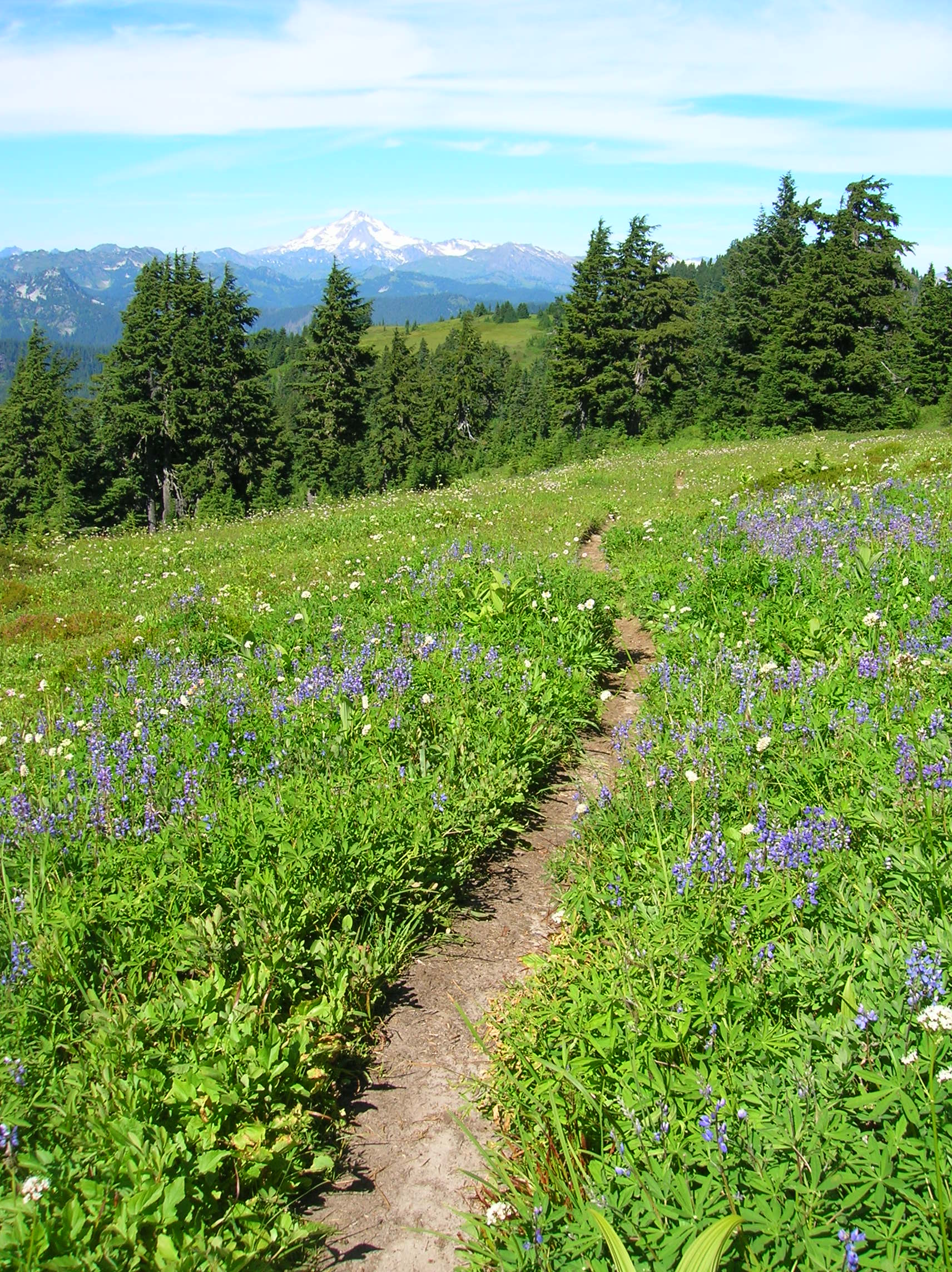 Lake Janus and Grizzly Peak — The Mountaineers