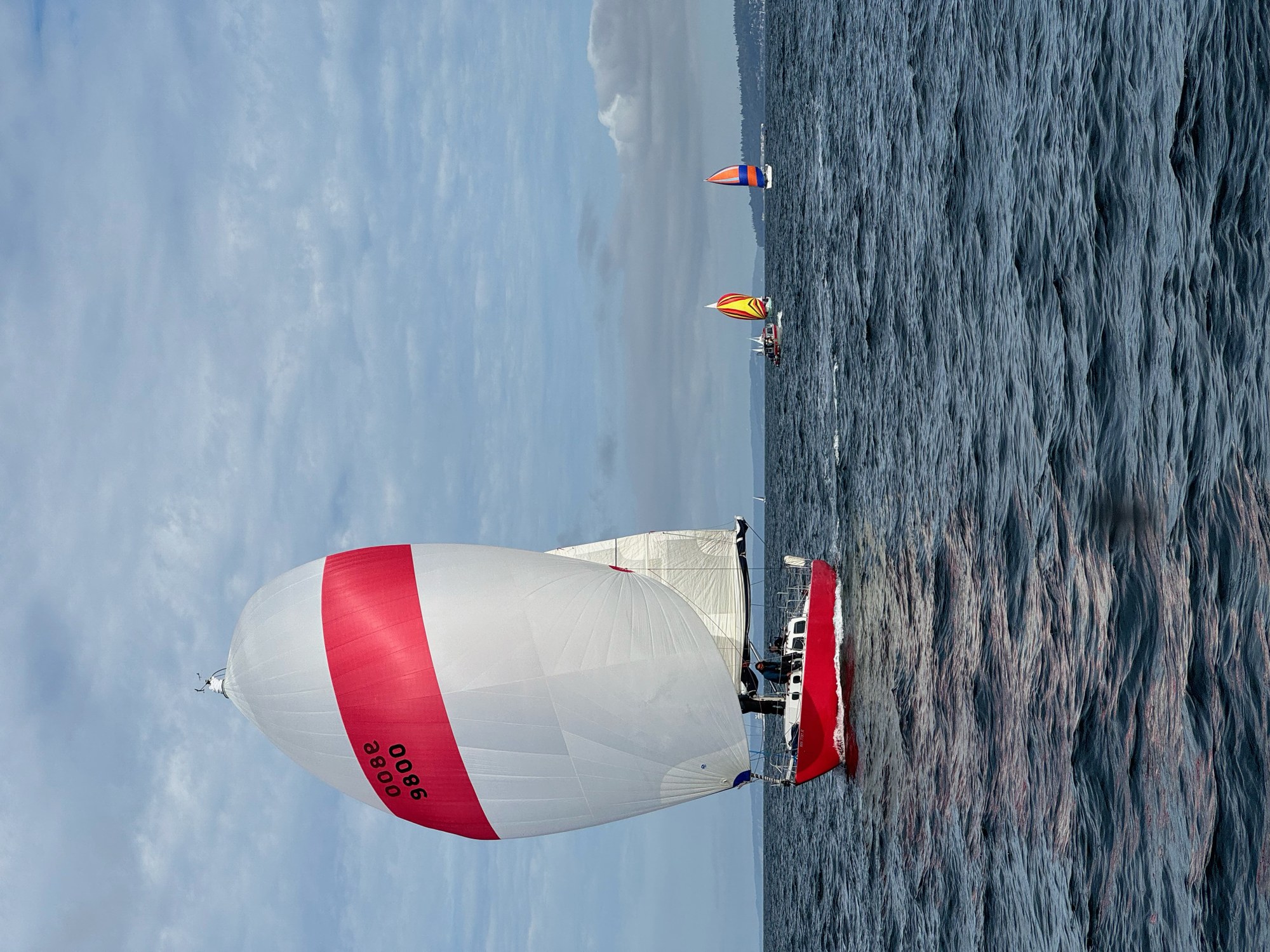 240928SailingRace3.jpeg