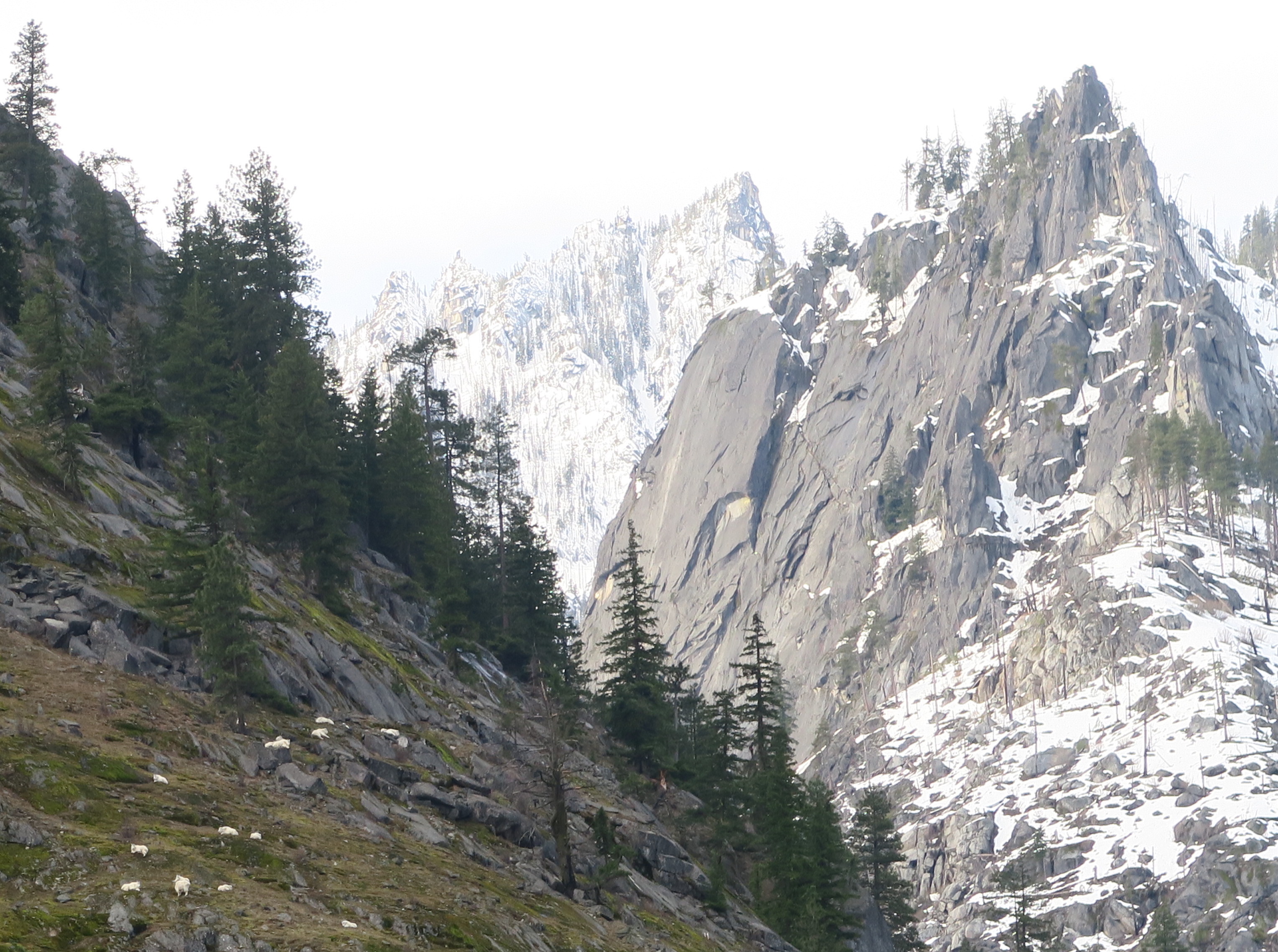 Snow Creek Wall The Mountaineers