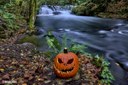 whatcom_falls_pumpkin_sergio_rojo.jpeg