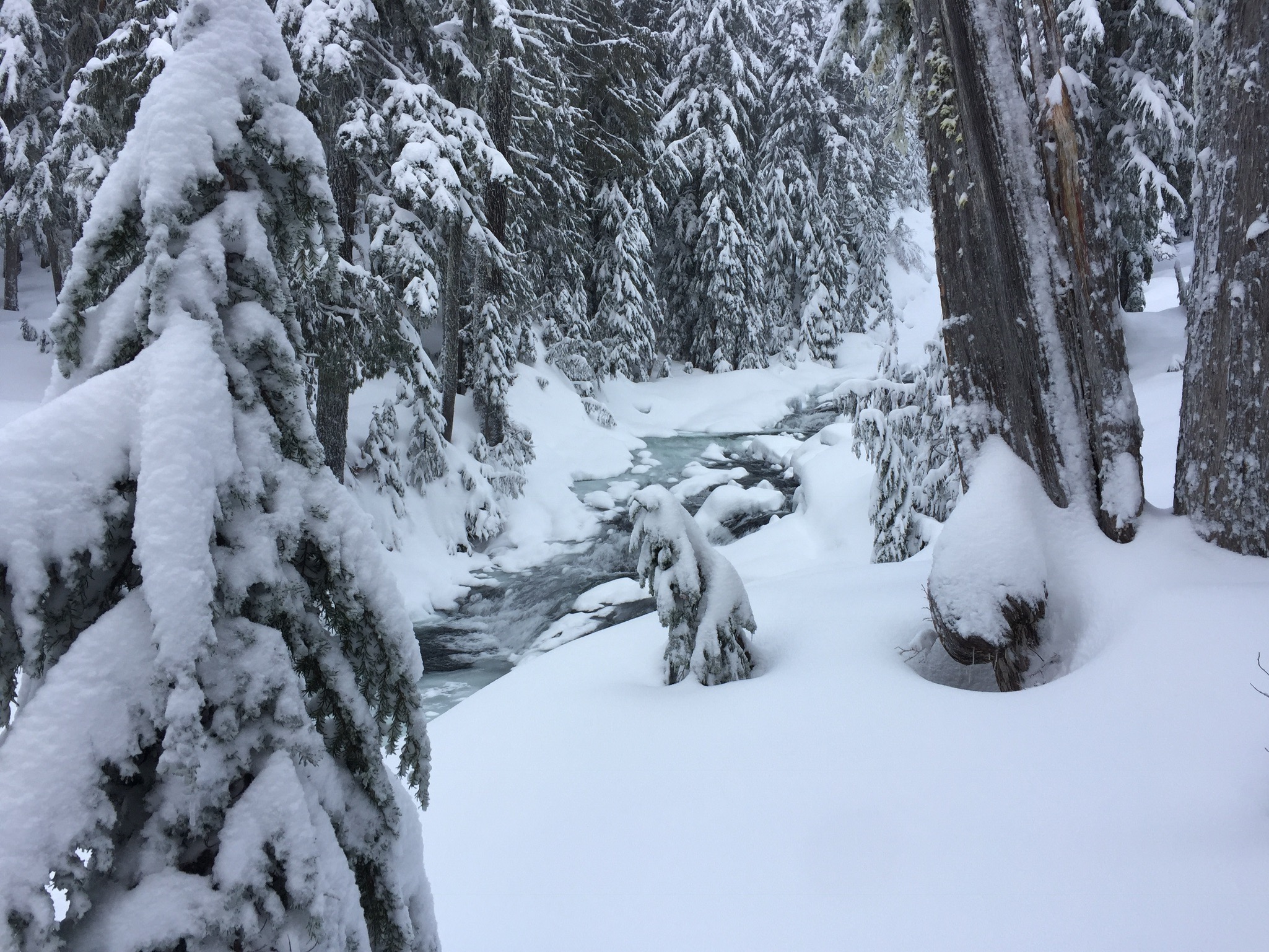 Basic Snowshoe - Reflection Lakes — The Mountaineers