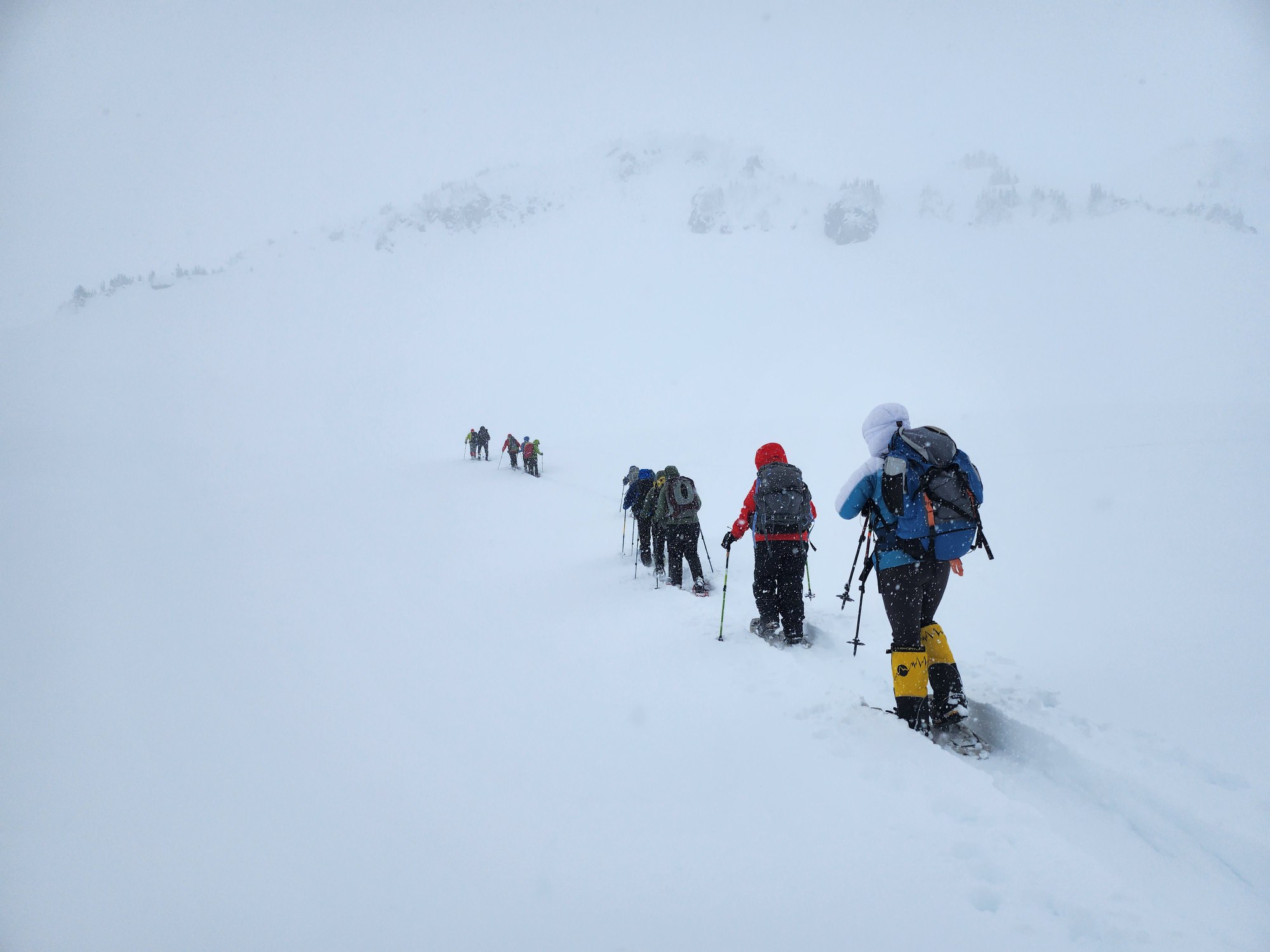 Beginner Snowshoe Golden Gate (winter) — The Mountaineers