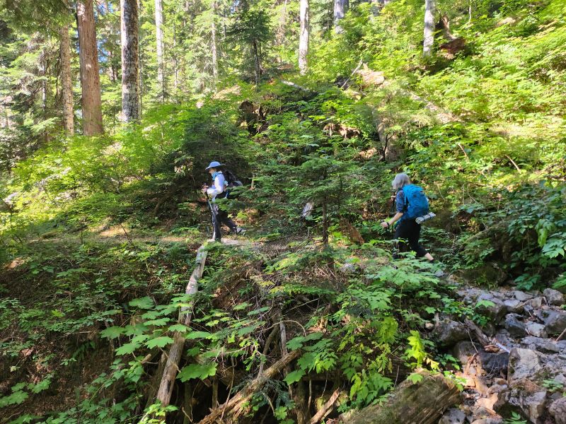 Day Hike - Church Creek–Satsop Lakes — The Mountaineers