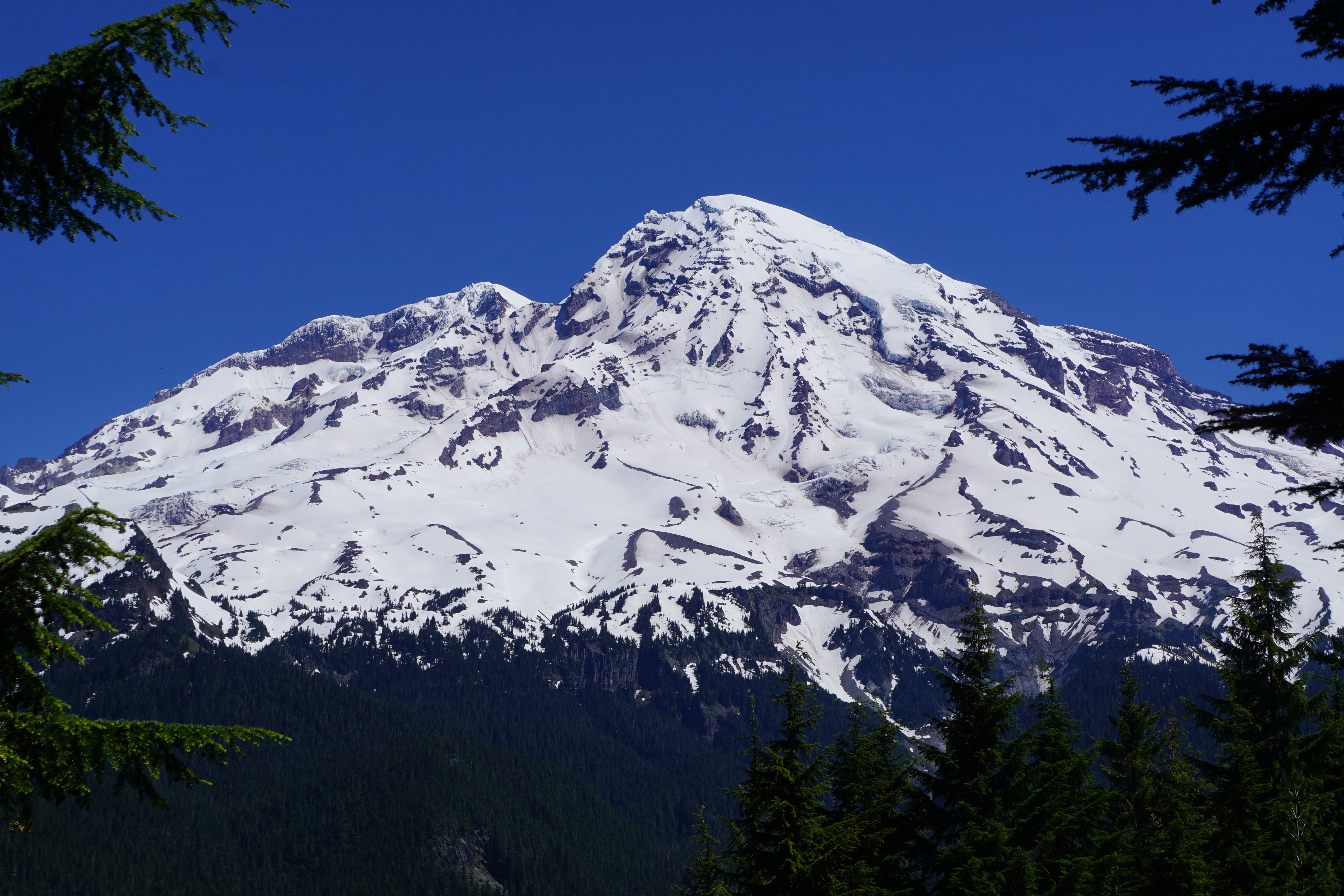 Day Hike - Rampart Ridge Loop (mount Rainier) — The Mountaineers