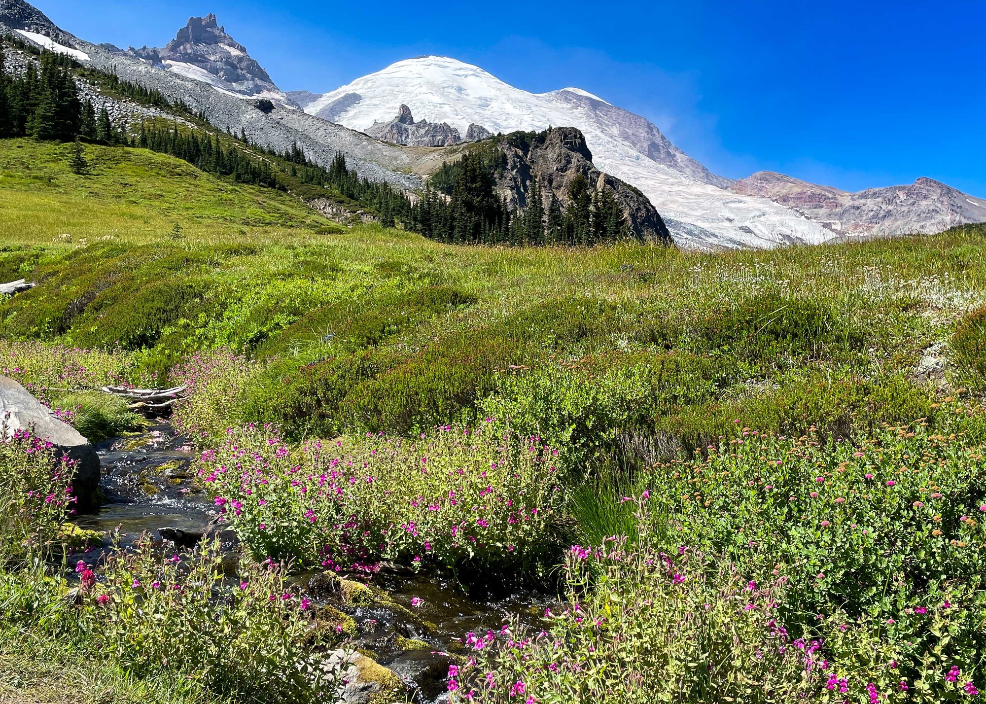 Summer Activities at Mt. Rainier