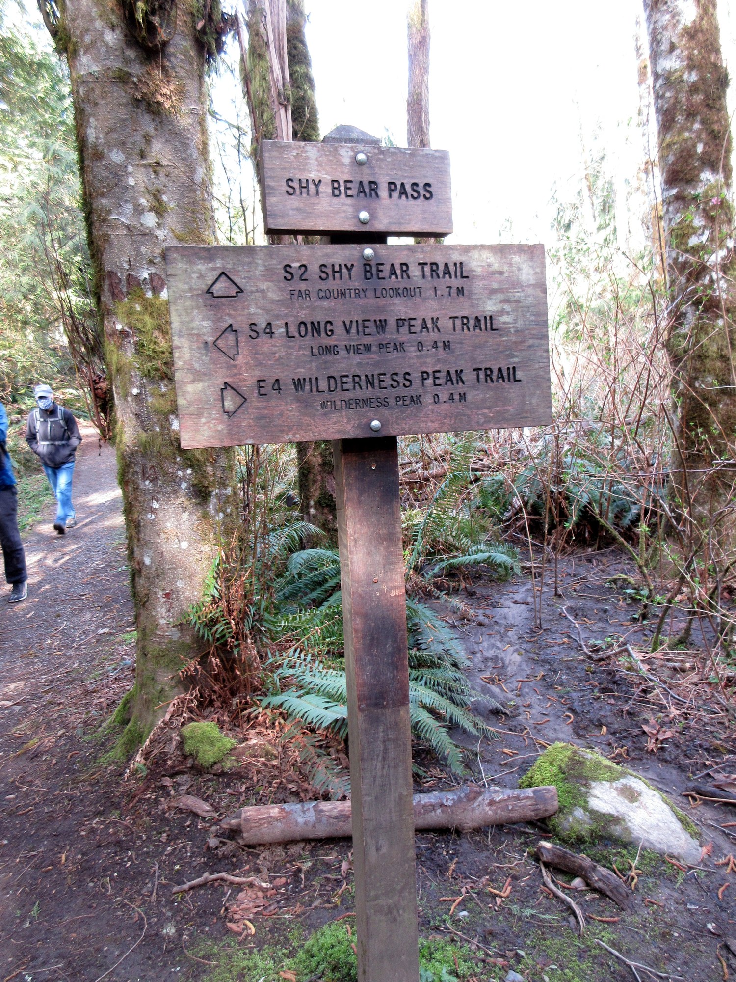 Wilderness 2025 peak trail