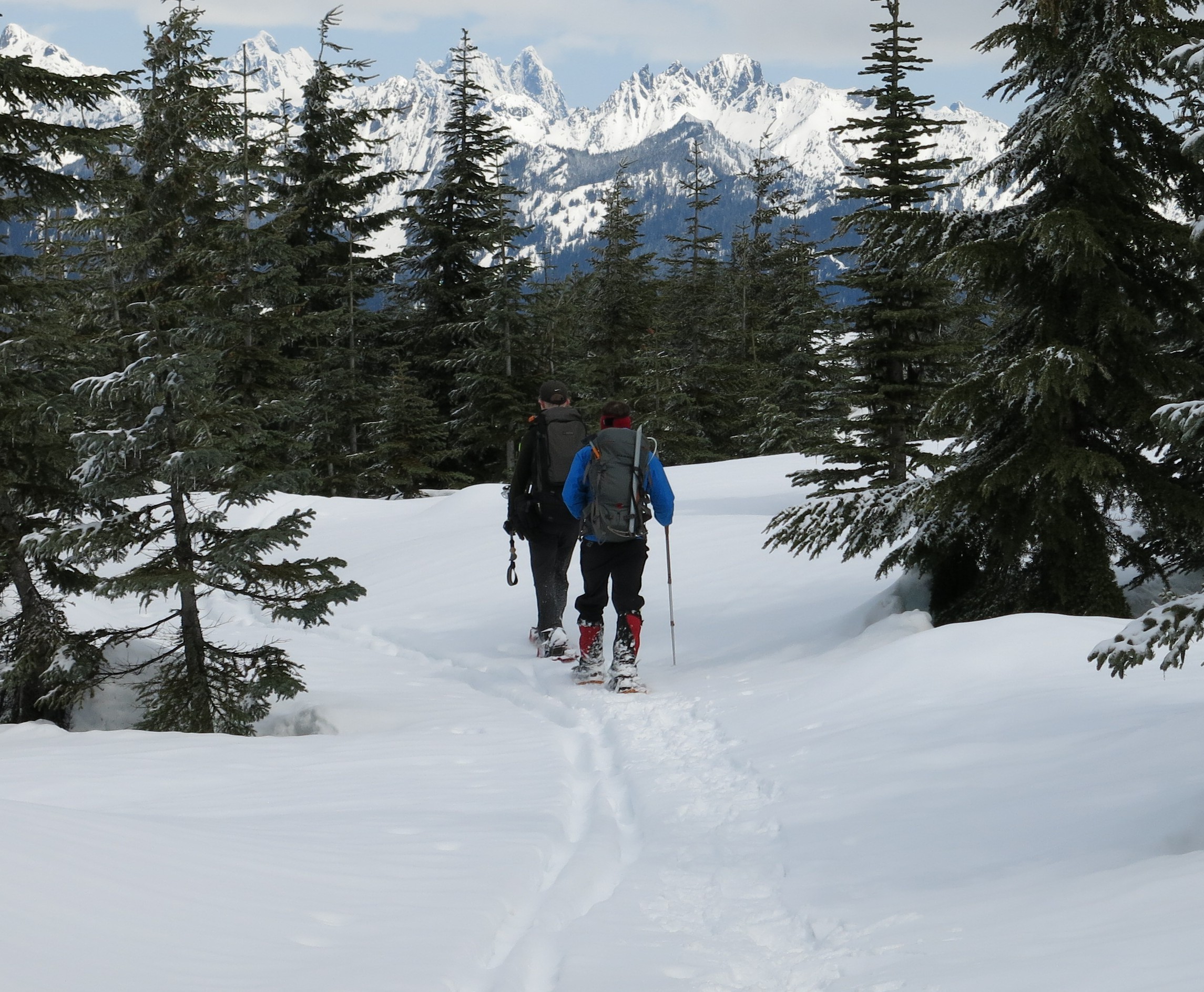 Intermediate Snowshoe - Amabilis Mountain — The Mountaineers