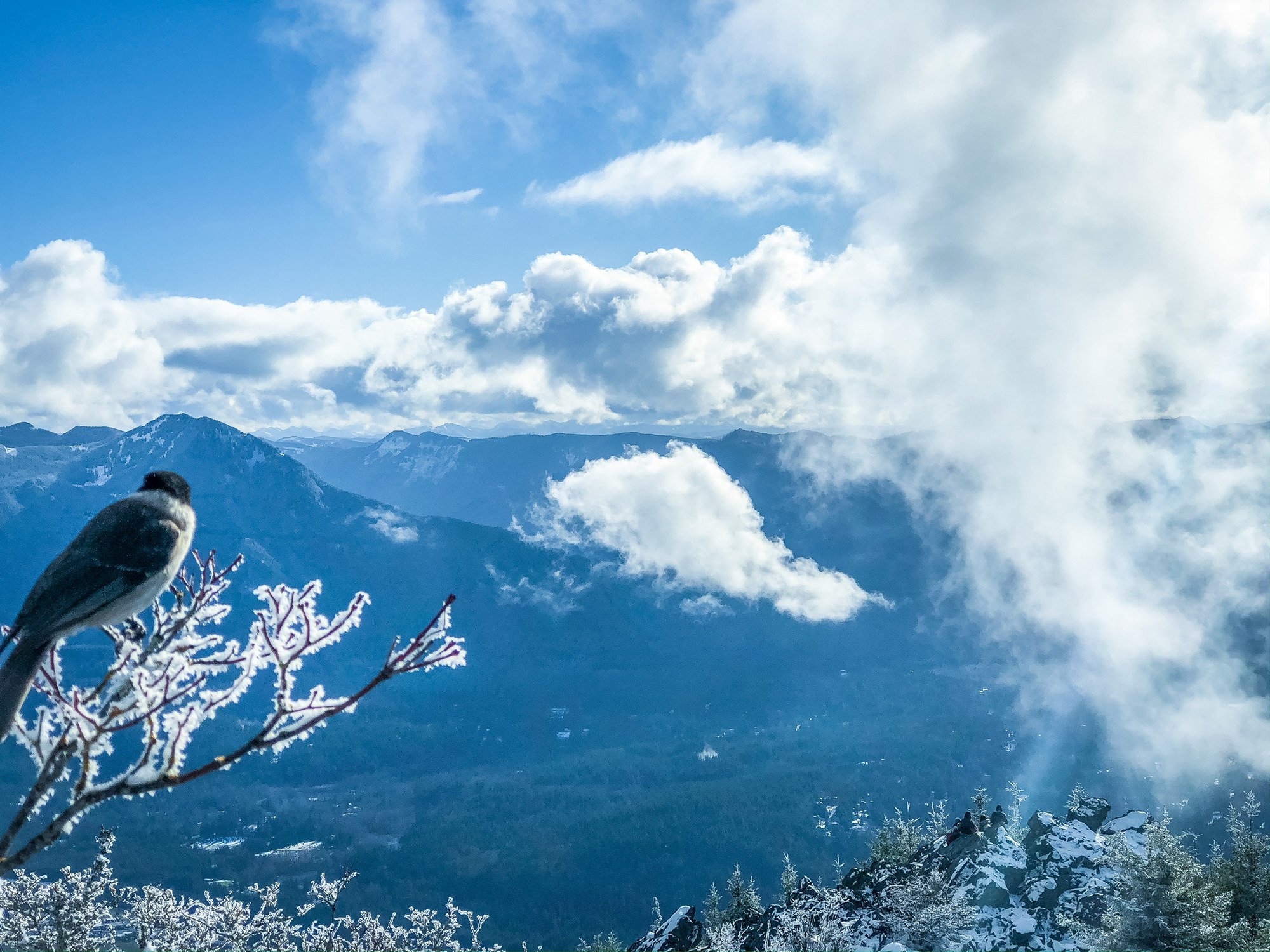 Mount Si Main Trail — The Mountaineers