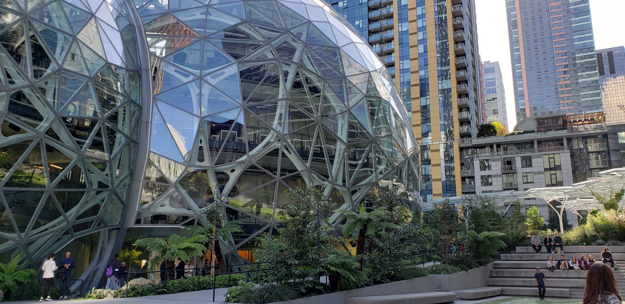 Urban Adventure - Amazon Spheres — The Mountaineers