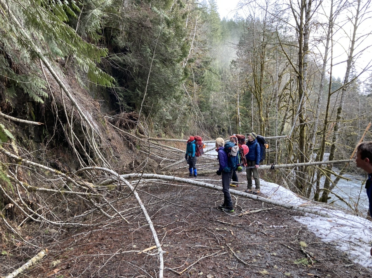 winter-scramble-dosewallips-log-dodge-the-mountaineers