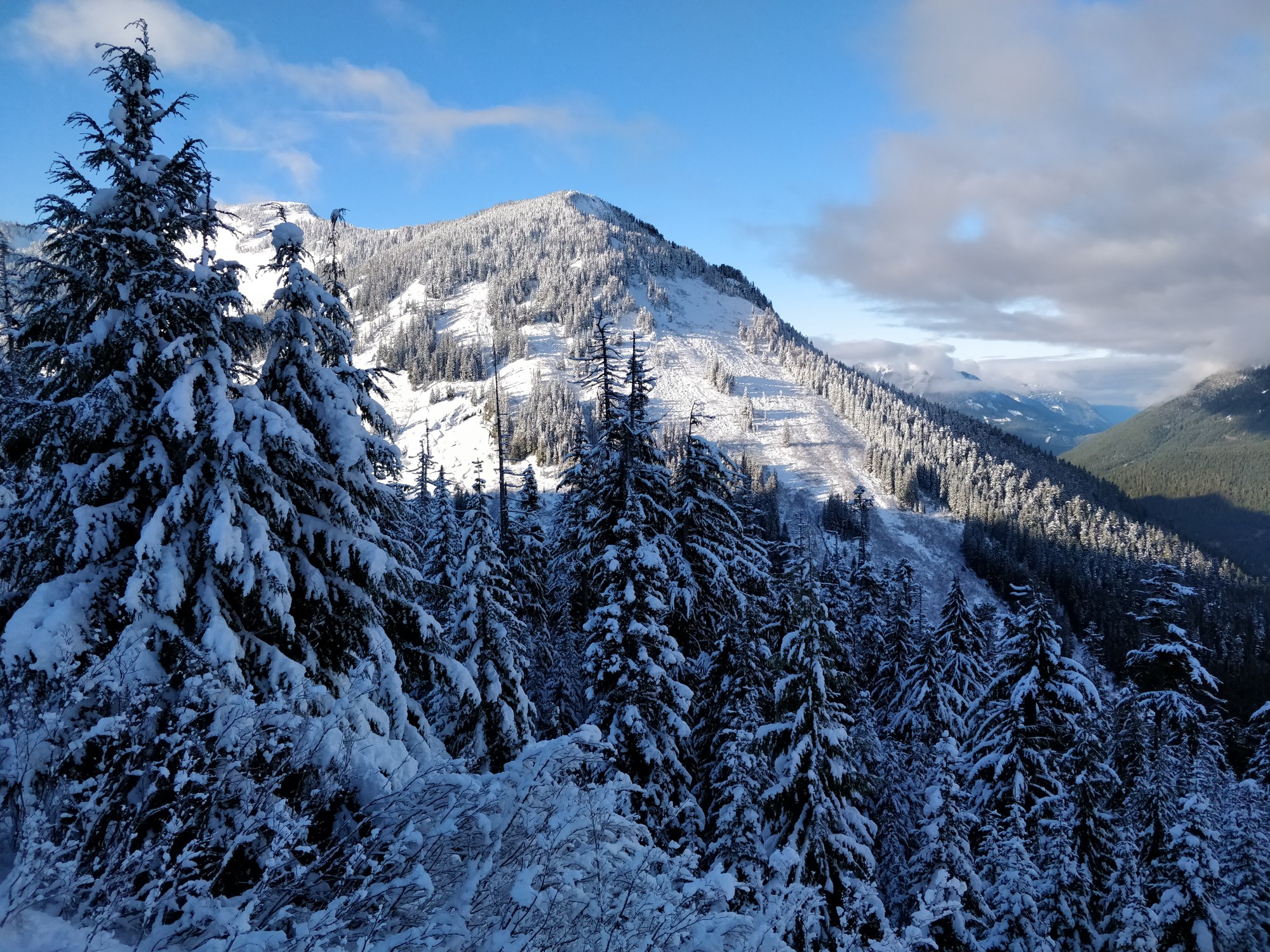 Winter Scramble - Mount Catherine — The Mountaineers