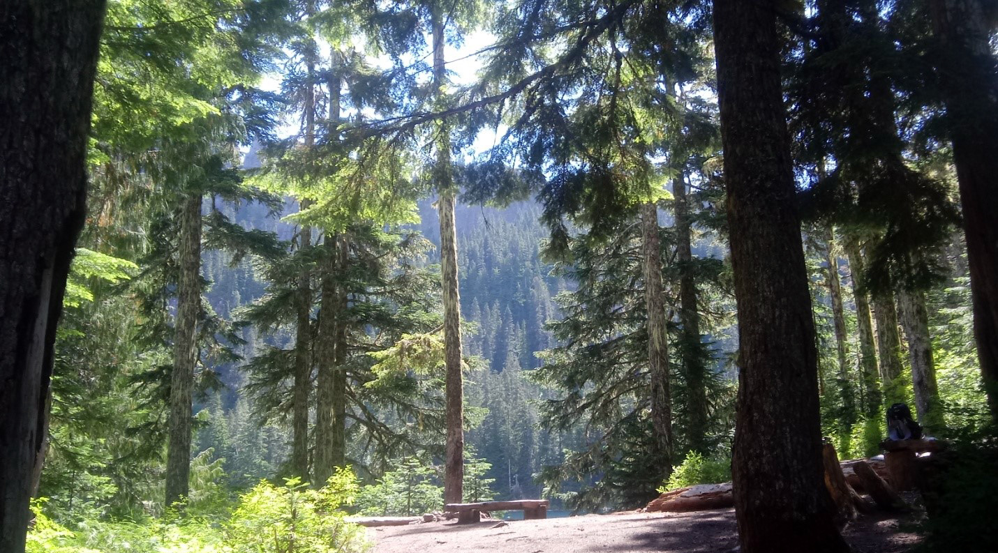 tinley creek bike trail