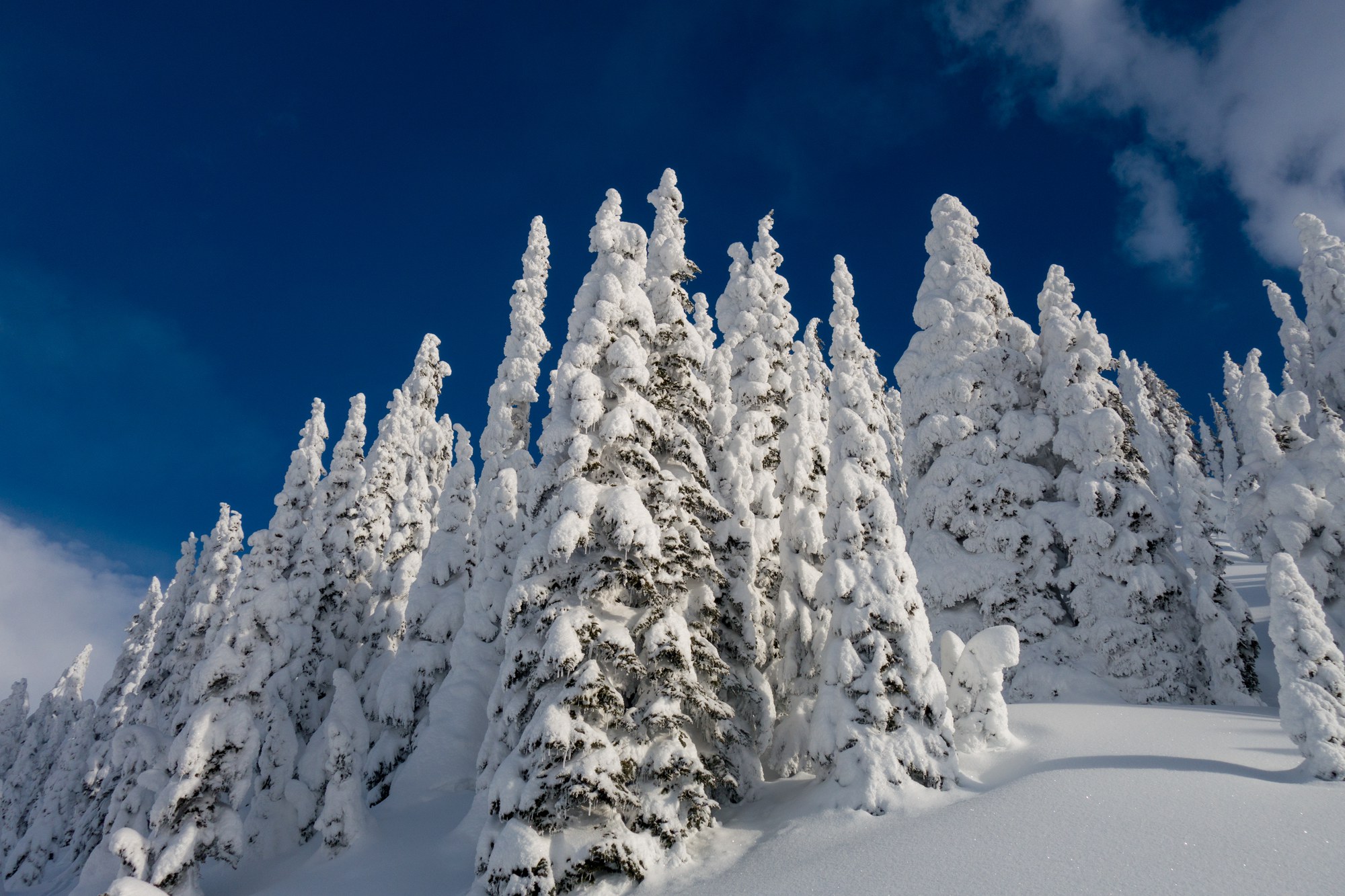 Snow science: Silent snow - MSU Extension