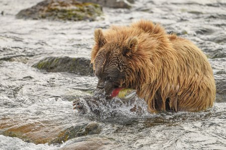 Explore Alaska's Katmai Peninsula - Dec 4, 2024