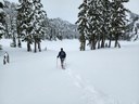 Explore Winter Wonderlands: Snowshoe Courses for All Levels