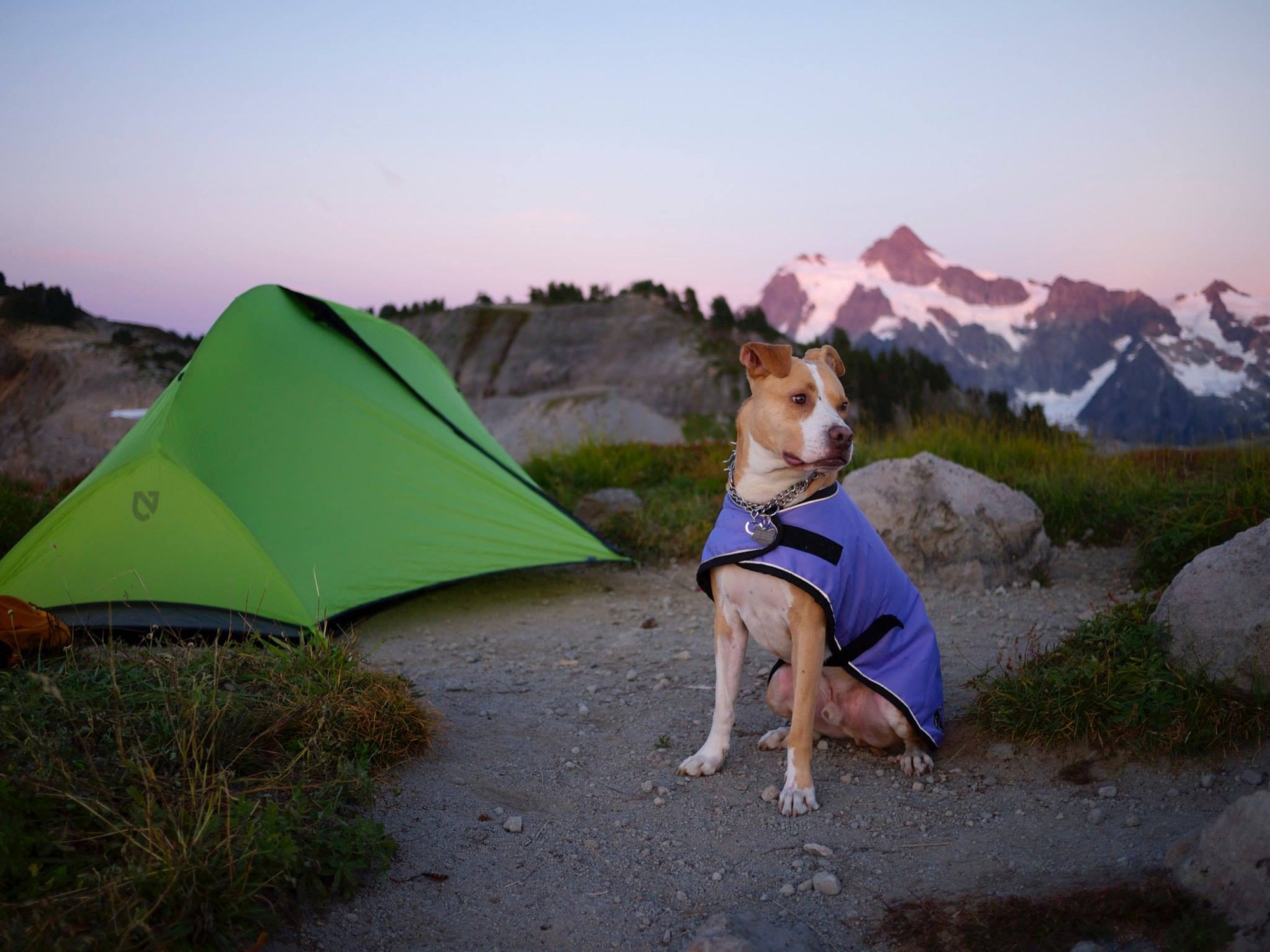 Best PNW Human Gear for Hiking with Dogs » The Dog Walks Me