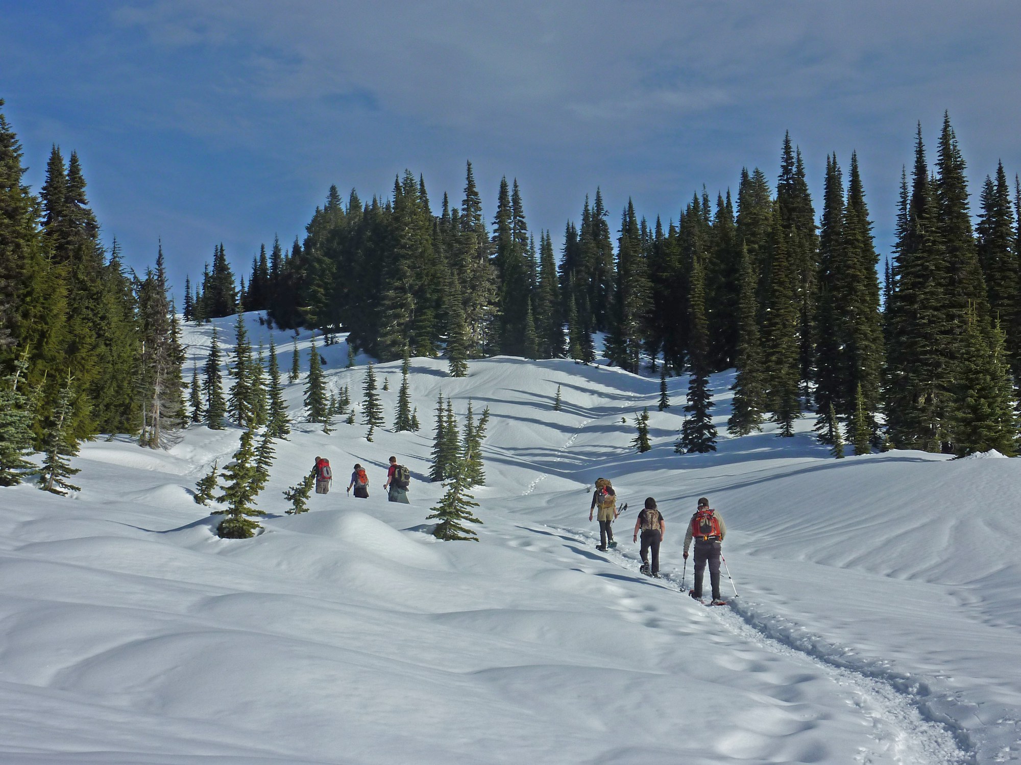 How To: Enjoy the Winter Backcountry Safely on Snowshoes — The Mountaineers