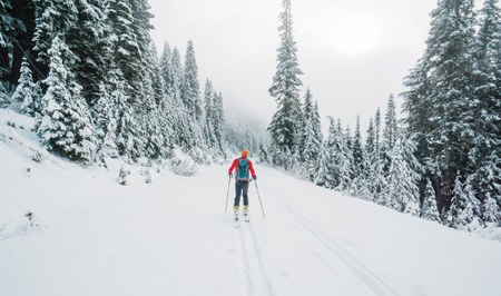 How to Hot Wax Nordic Skis