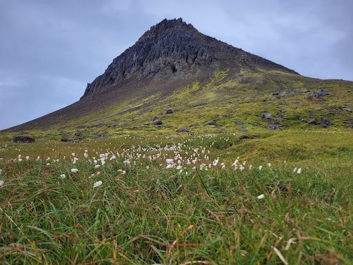 Iceland16.jpg