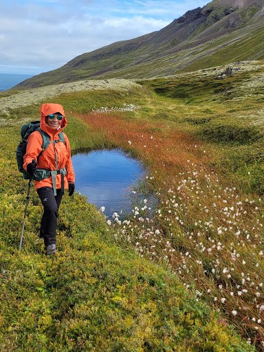 Iceland21.jpg