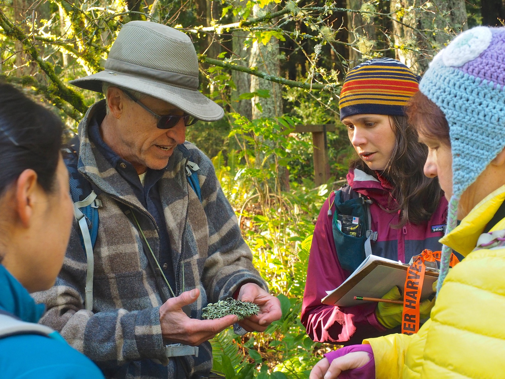 The Little Things: Moss Blankets and Raining Lichen — The Mountaineers