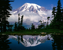 Speak Up to Shape the Future of Timed Entry Reservations in Mt. Rainier National Park