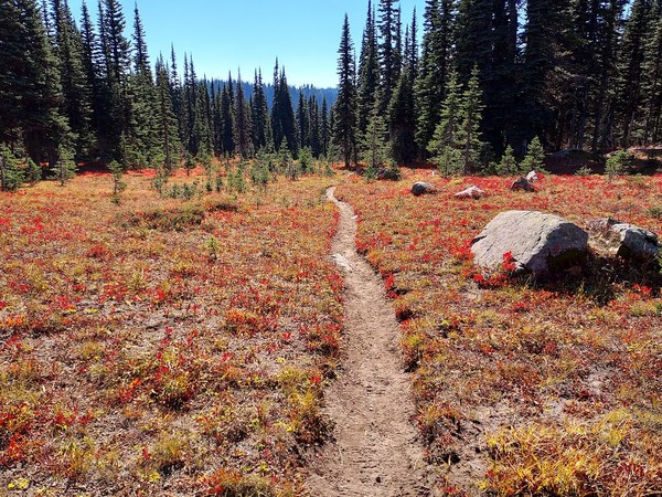 October hiking clearance trips