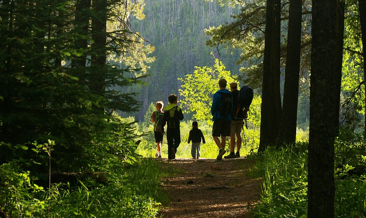 Kid-Friendly Adventures: The Best National Parks for Little Explorers