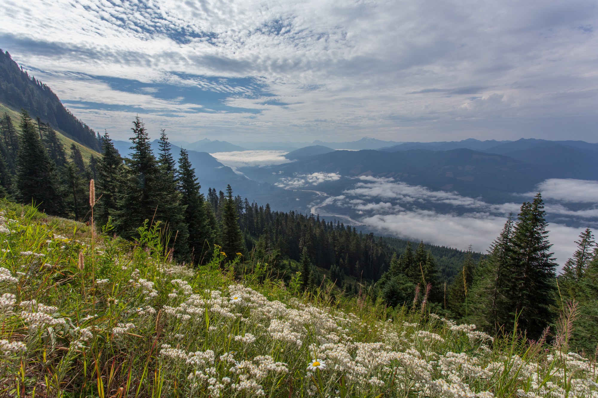 understanding-treaty-rights-in-today-s-landscape-a-tulalip-perspective-oct-19-the-mountaineers